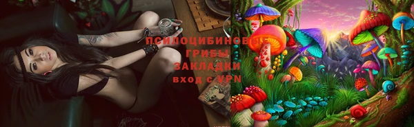 прущая мука Козловка