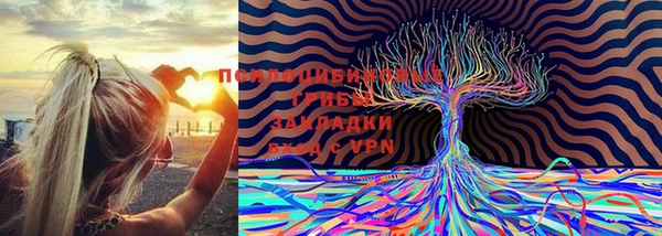 меф Кодинск