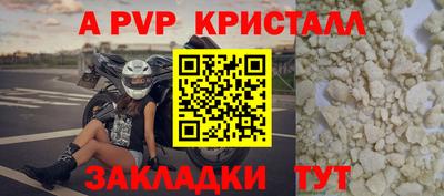 гидра Тара