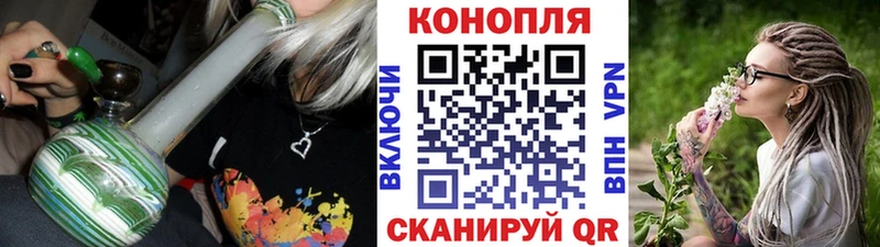 где купить наркоту  Оренбург  мега   Шишки марихуана сатива 